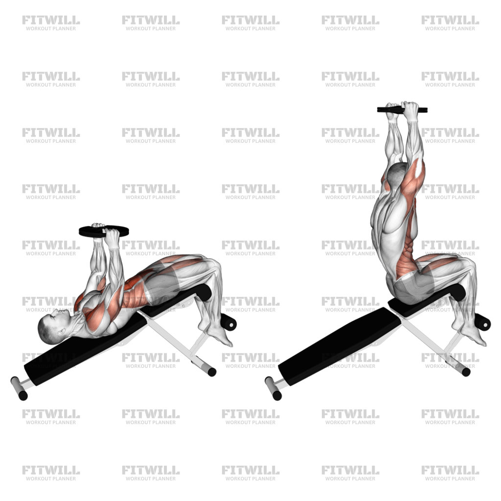 Weighted Decline Sit up Exercise Guide Video Techniques Benefits How to Muscles Worked Tips Tricks Fitwill