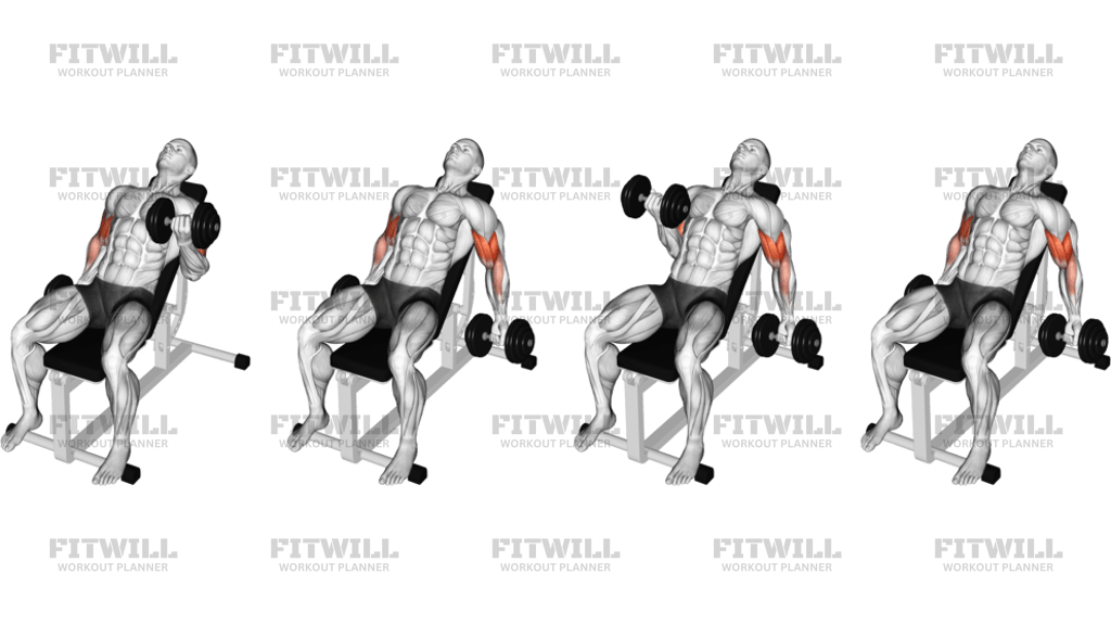 Dumbbell Incline Alternate Bicep Curl