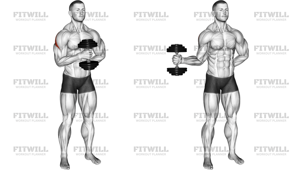 Dumbbell External Rotation