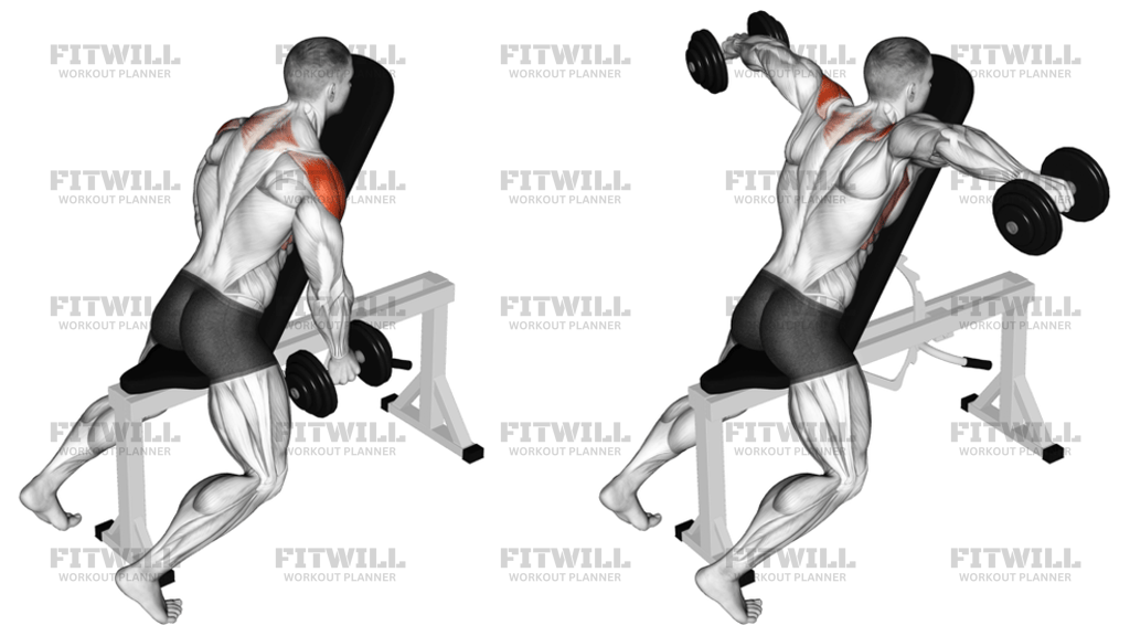 Dumbbell Chest Supported Lateral Raises