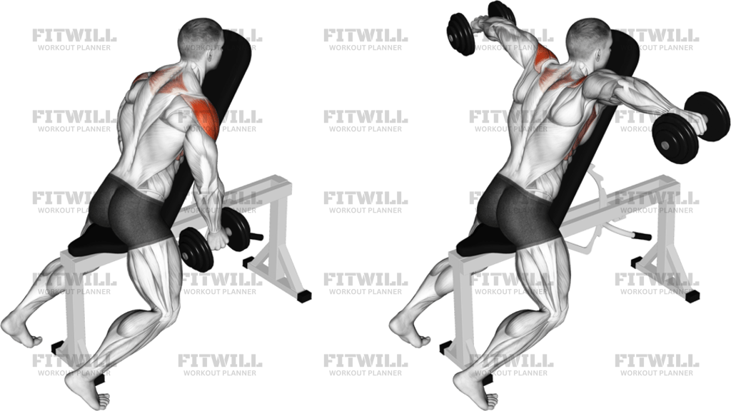 Dumbbell Chest Supported Lateral Raises
