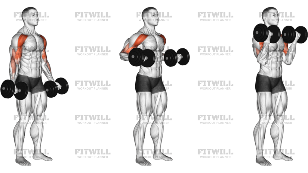 Dumbbell Drag Bicep Curl