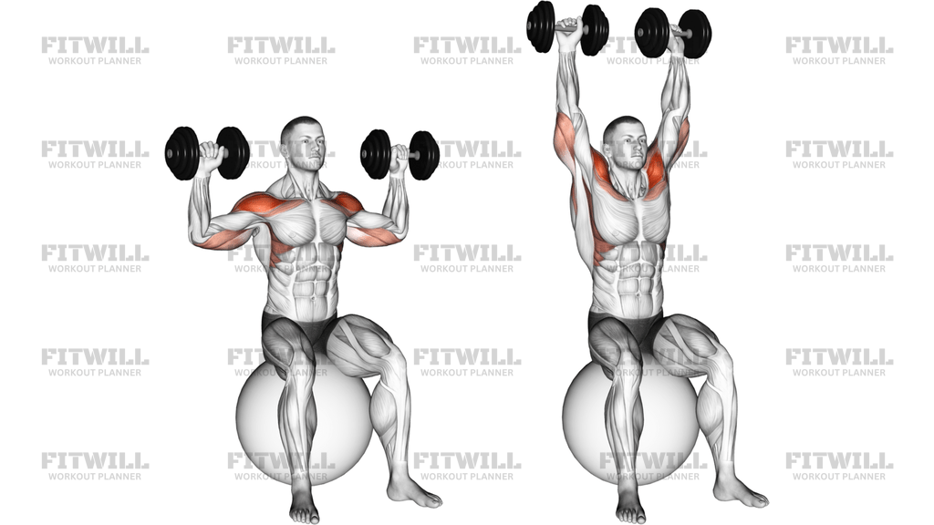 Dumbbell Seated On Exercise Ball Shoulder Press