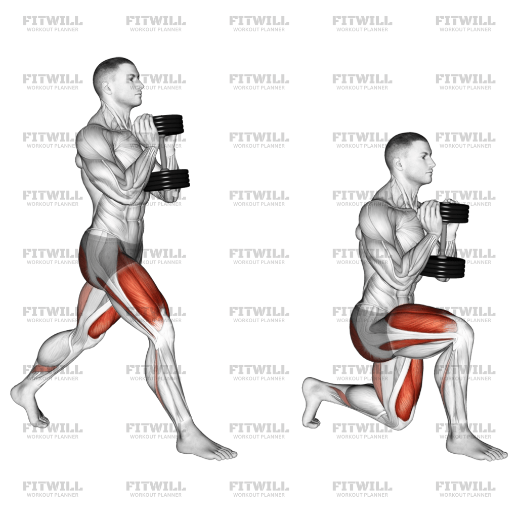 Dumbbell Goblet Split Squat Exercise Guide Techniques Benefits How