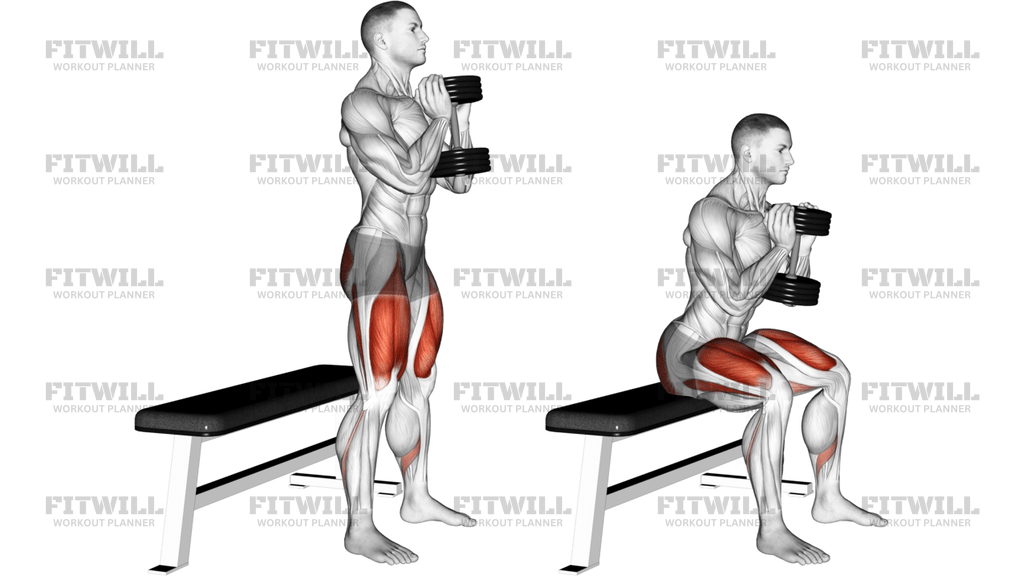 Dumbbell Goblet Box Squat