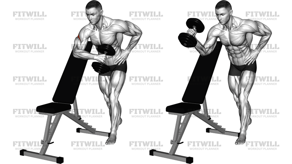 Dumbbell Bench Supported External Rotation