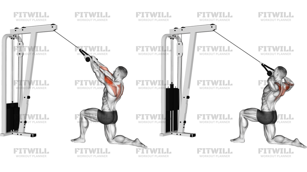 Cable Rope Kneeling Rear Delt Row