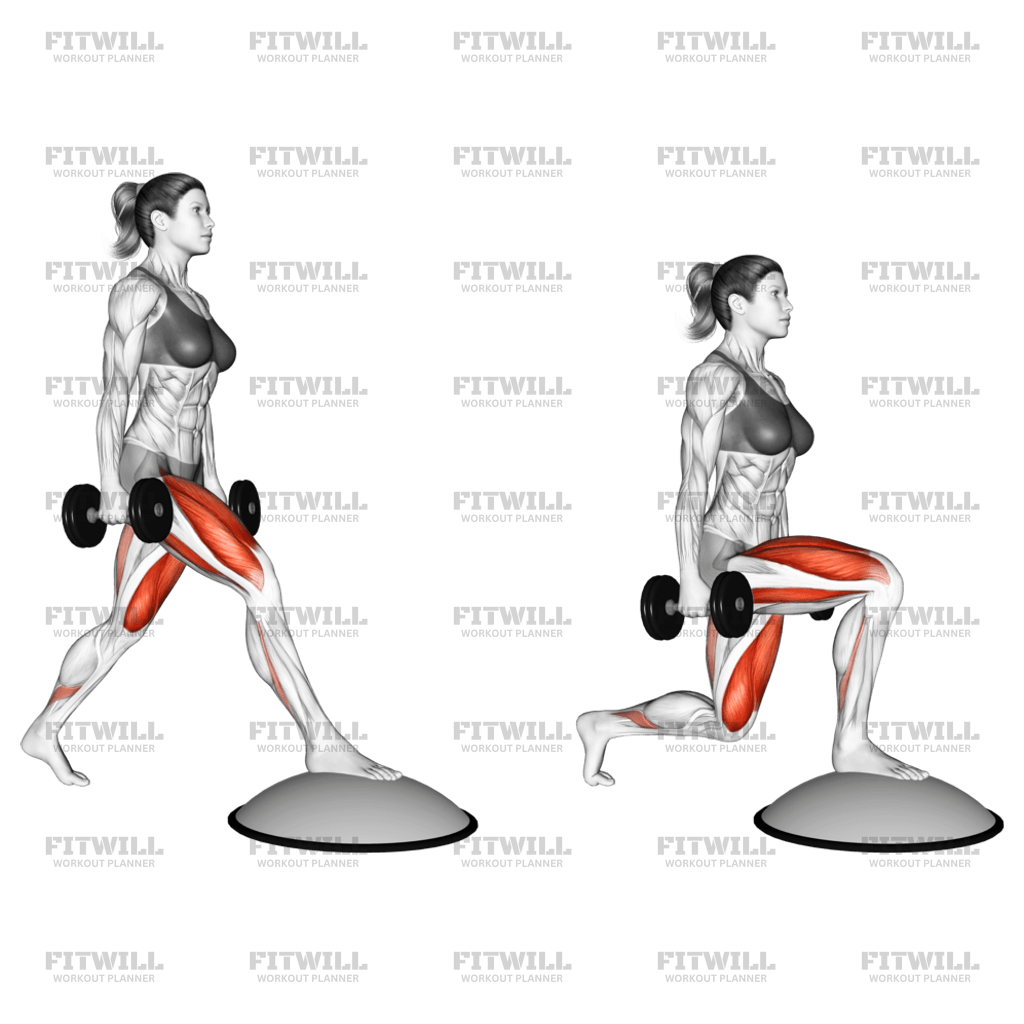 Dumbbell Split Squat Front Foot Elevanted With Bosu Ball Exercise Guide Techniques Benefits How to Muscles Worked Tips Tricks Fitwill