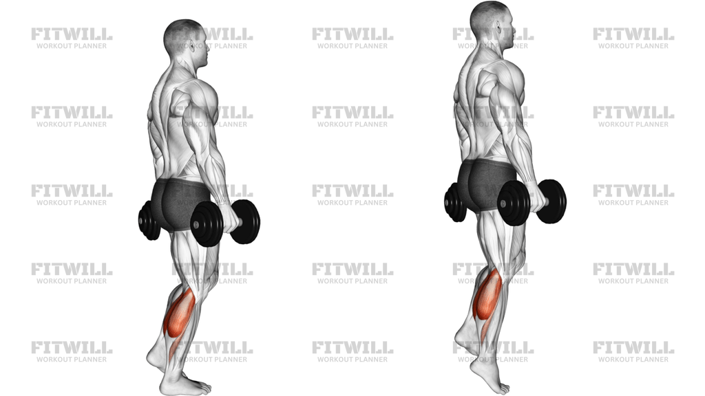 Dumbbell Standing Single Leg Calf Raise Right Side