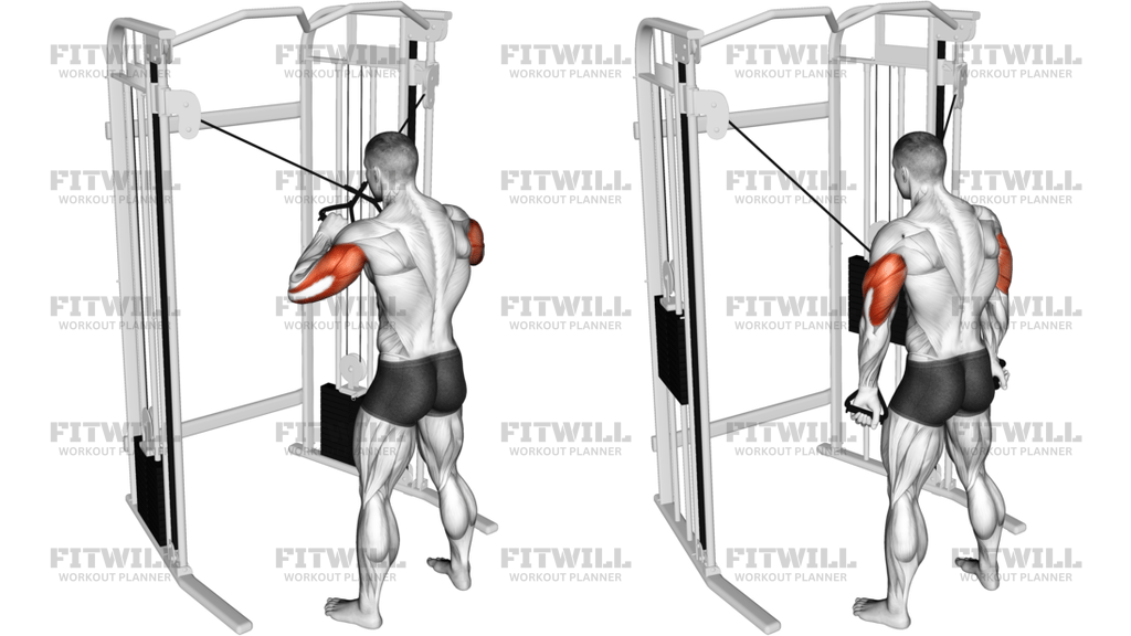 Cable Standing High Cross Triceps Extension