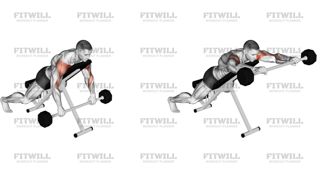 Barbell Incline Lying Rear Delt Raise