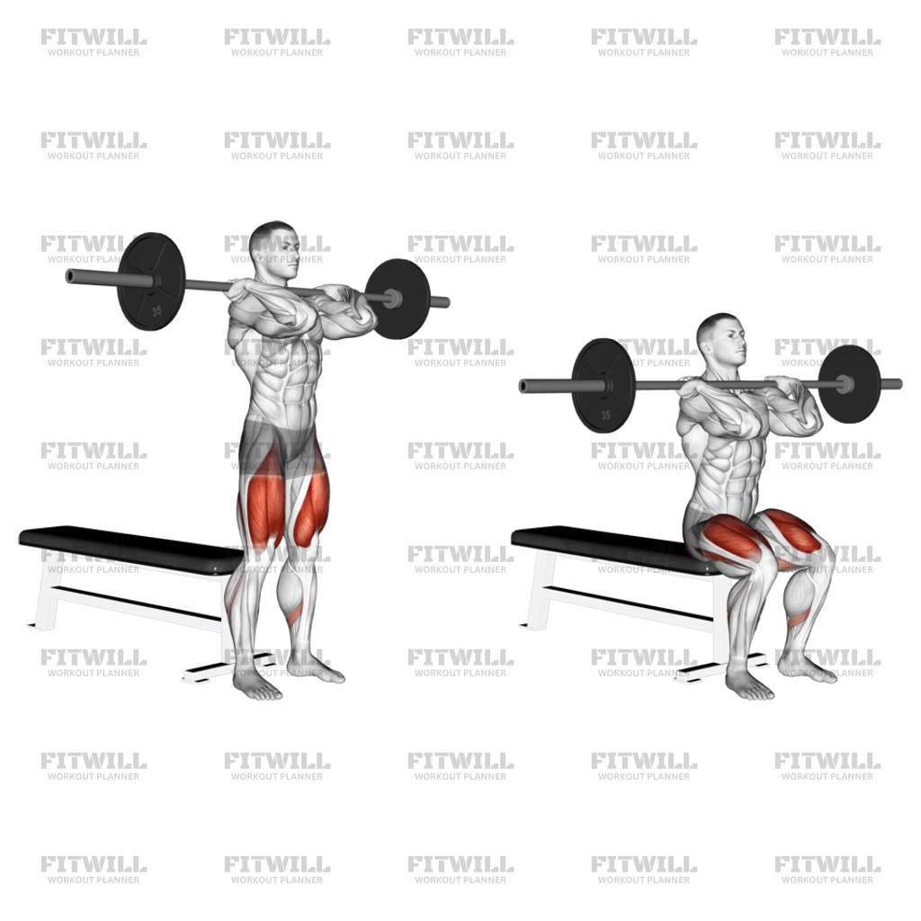 Barbell Front Bench Squat Exercise Video Fitwill