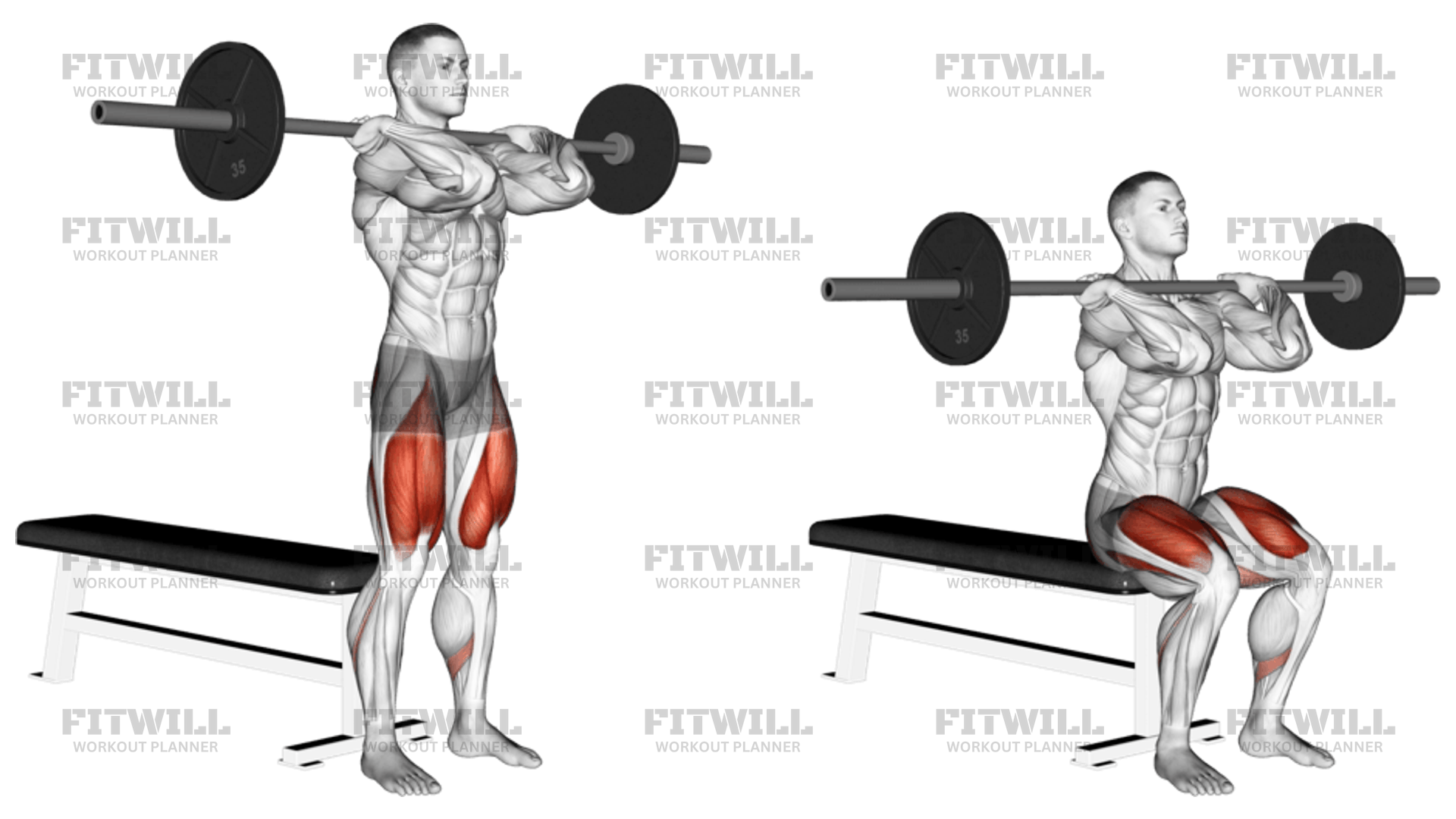 Barbell Front Bench Squat Exercise Video Guide Techniques Benefits How to Muscles Worked Tips Tricks Fitwill