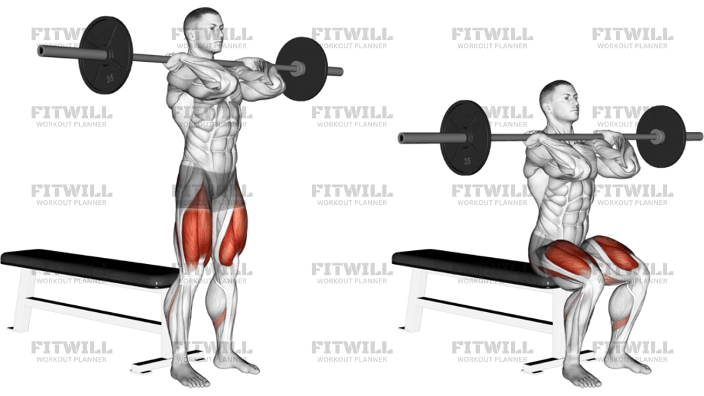 Barbell Front Bench Squat