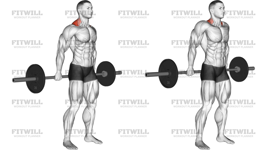 Barbell Behind The Back Shrug