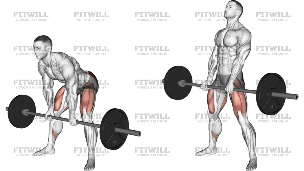 Barbell Sumo Romanian Deadlift