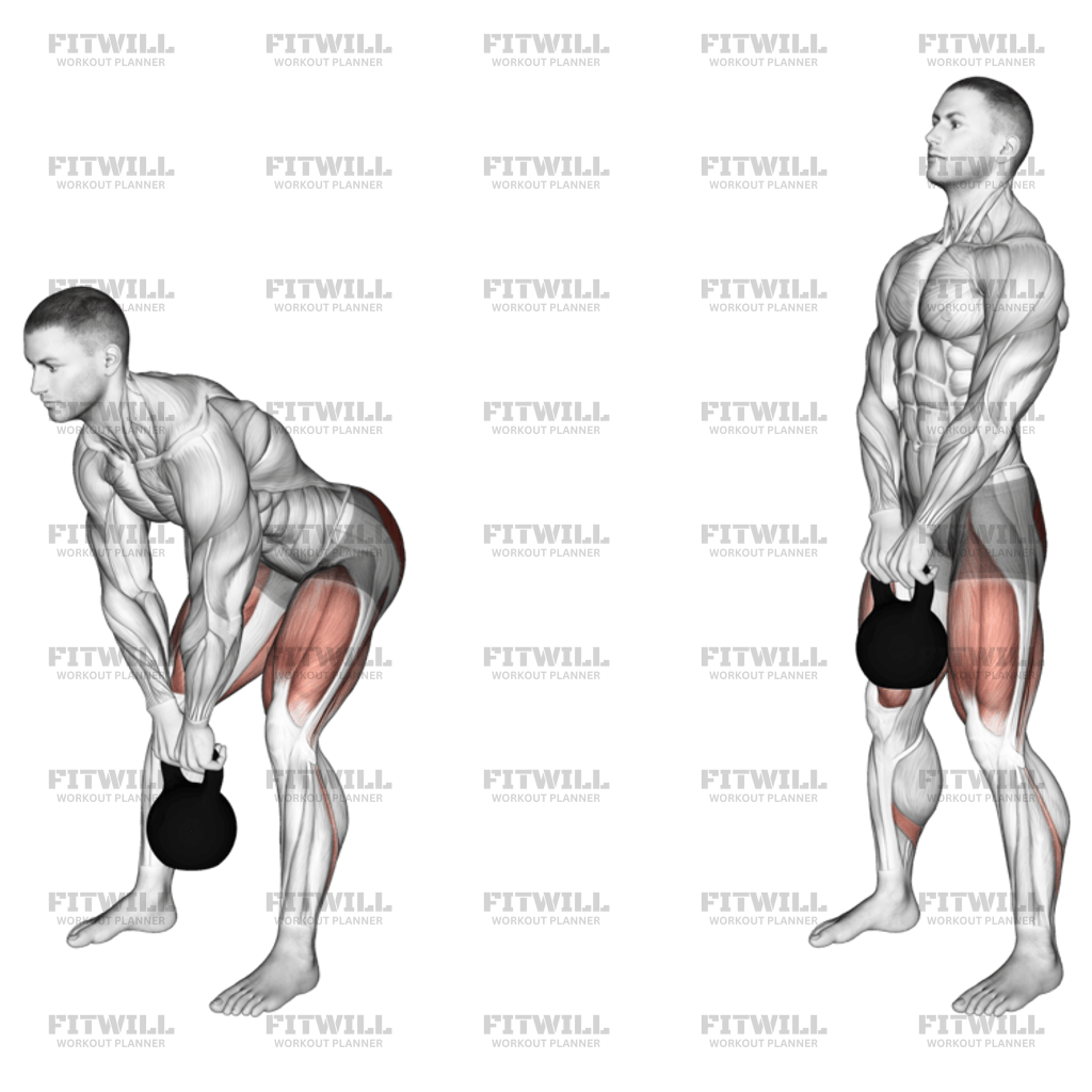 Kettlebell Straight Leg Deadlift Exercise Guide Video Techniques Benefits How to Muscles Worked Tips Tricks Fitwill