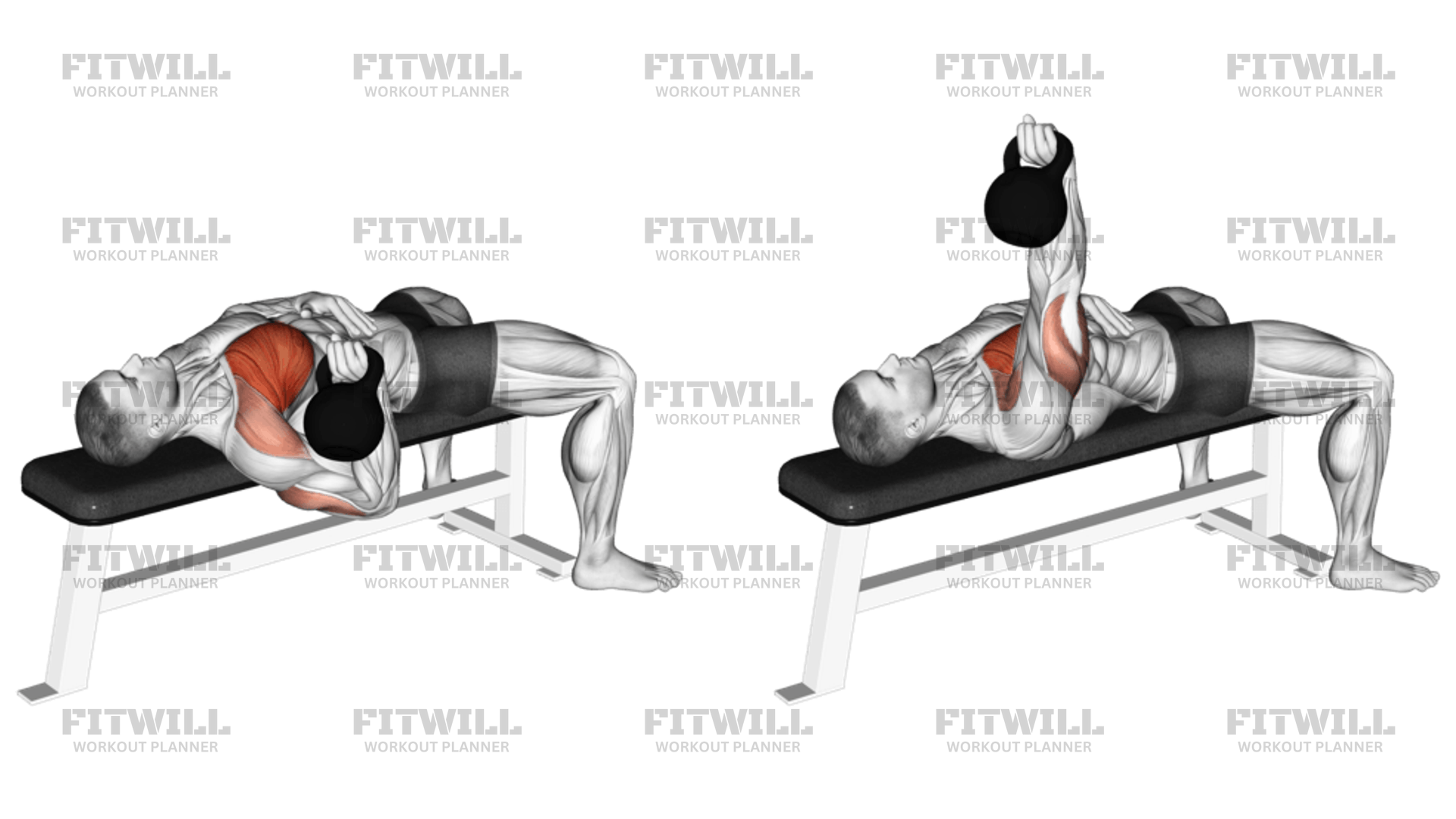 Kettlebell One Arm Bench Press Exercise Guide Techniques Benefits How to Muscles Worked Tips Tricks Fitwill