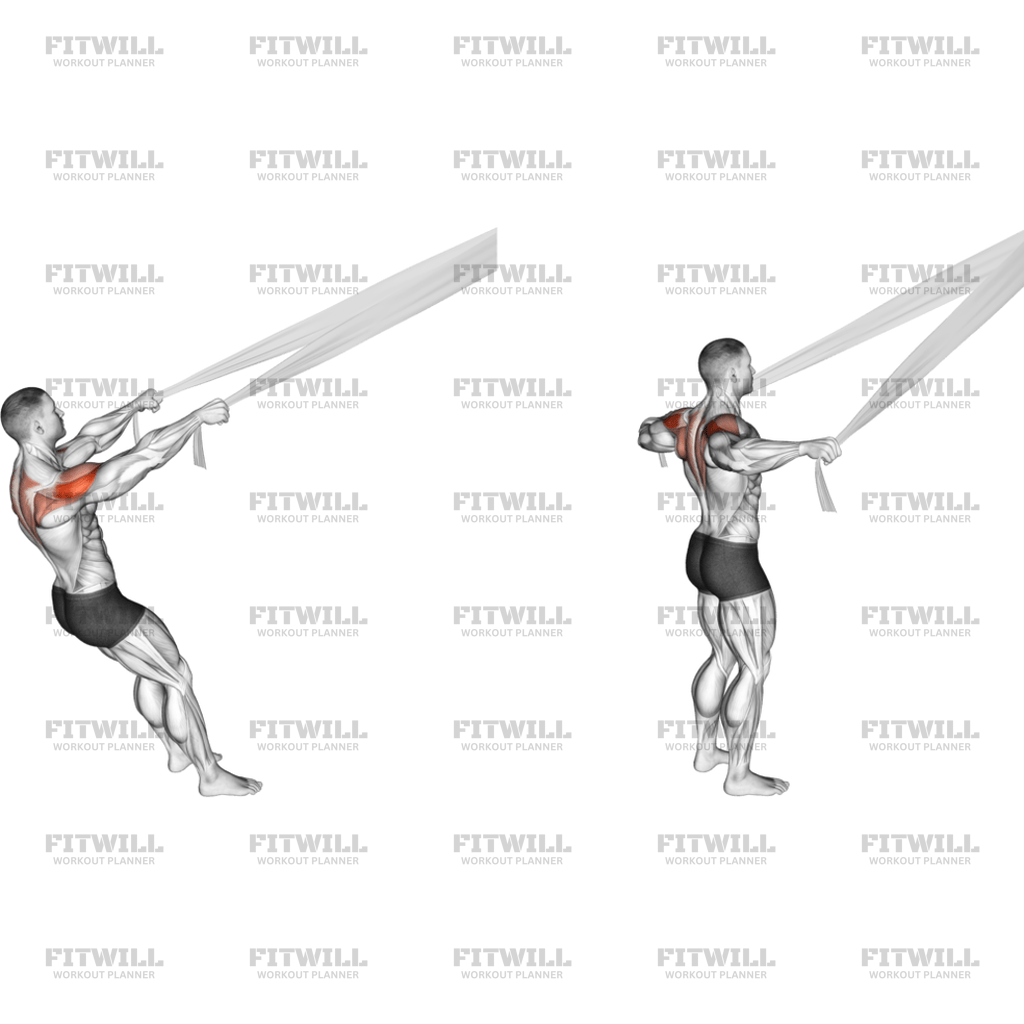 Rear Delt Fly With Bed Sheet: Exercise Guide, Techniques, Benefits, How ...