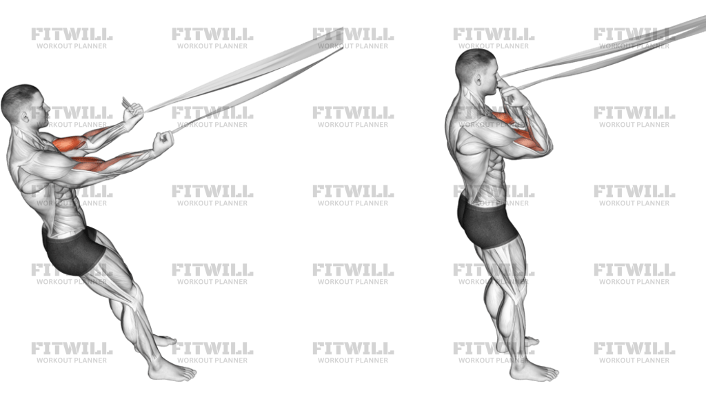 Biceps Curl With Bed Sheet