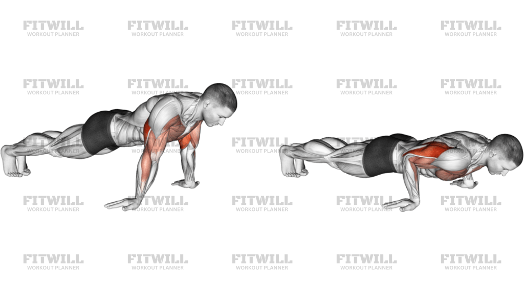 Reverse Push-Up