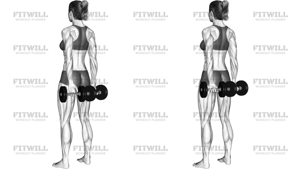 Dumbbell Behind Back Finger Curl