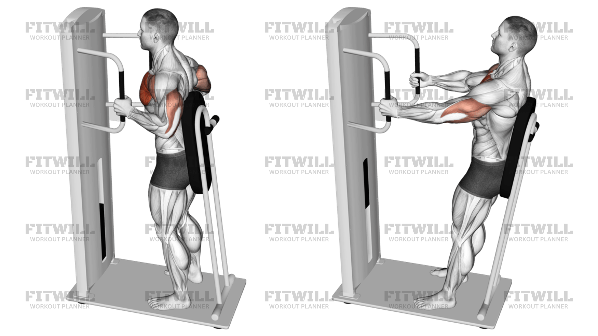 Lever Standing Chest Press: Exercise Guide, Techniques, Benefits, How ...