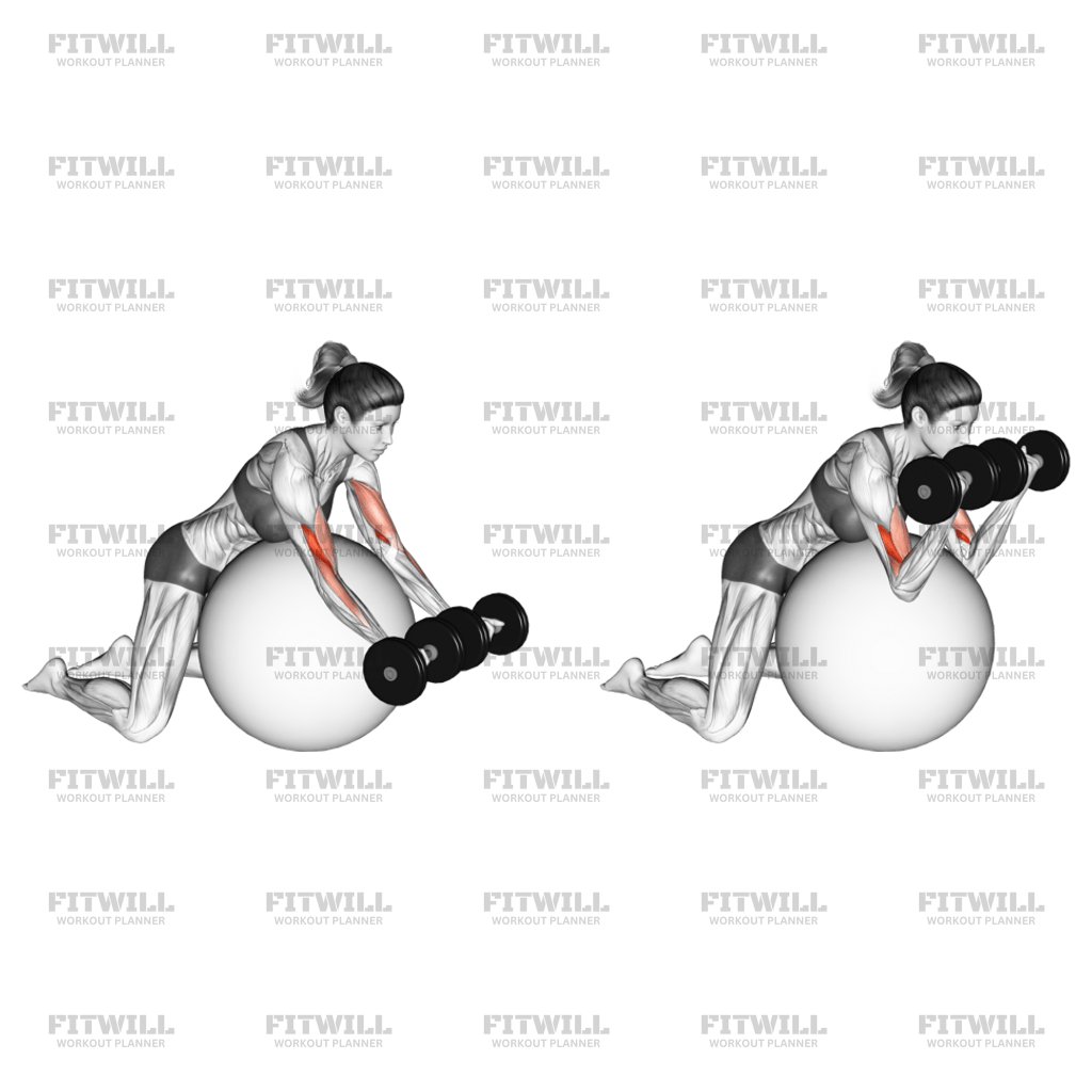 Dumbbell Preacher Curl Over Exercise Ball: Exercise Guide, Video ...
