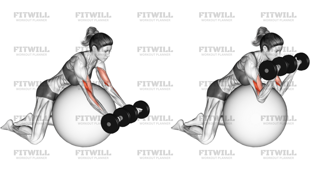 Dumbbell Preacher Curl Over Exercise Ball