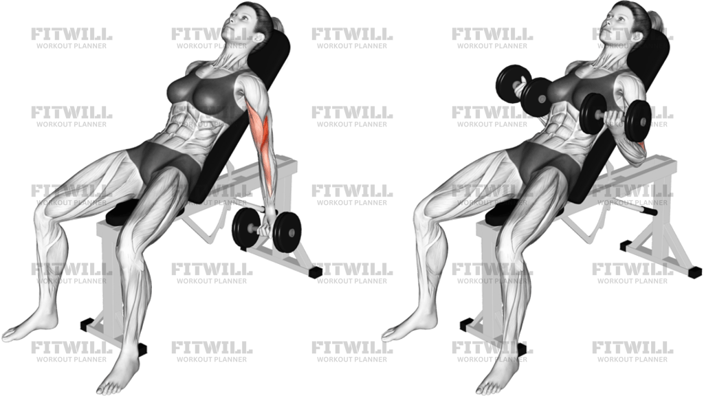 Dumbbell Incline Biceps Curl