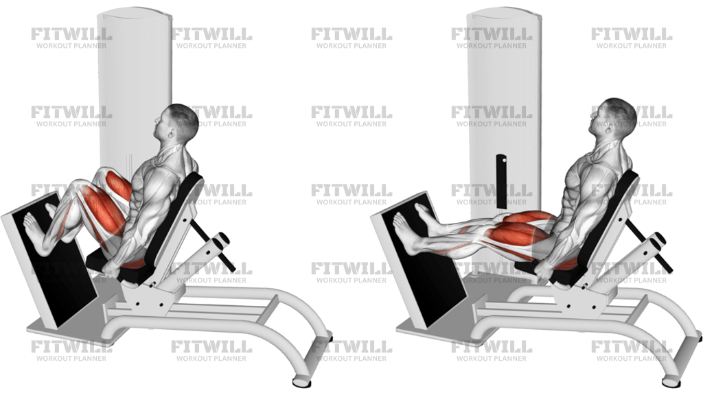 Lever Seated Horizontal Leg Press