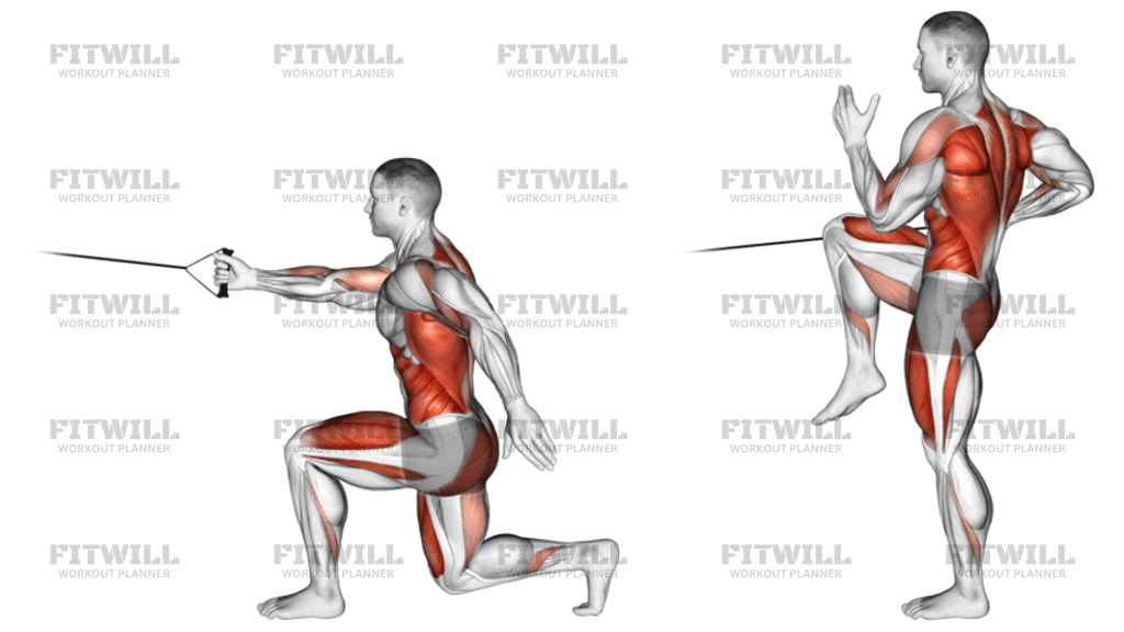 Band High Knee Lunge With Single-Arm Row: Exercise Guide, Techniques ...