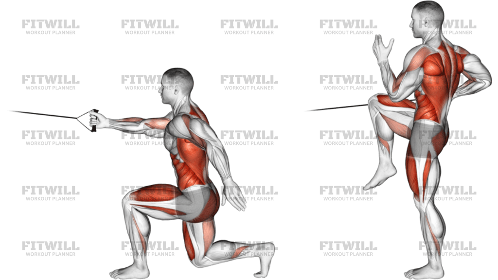 Band High Knee Lunge With Single-Arm Row