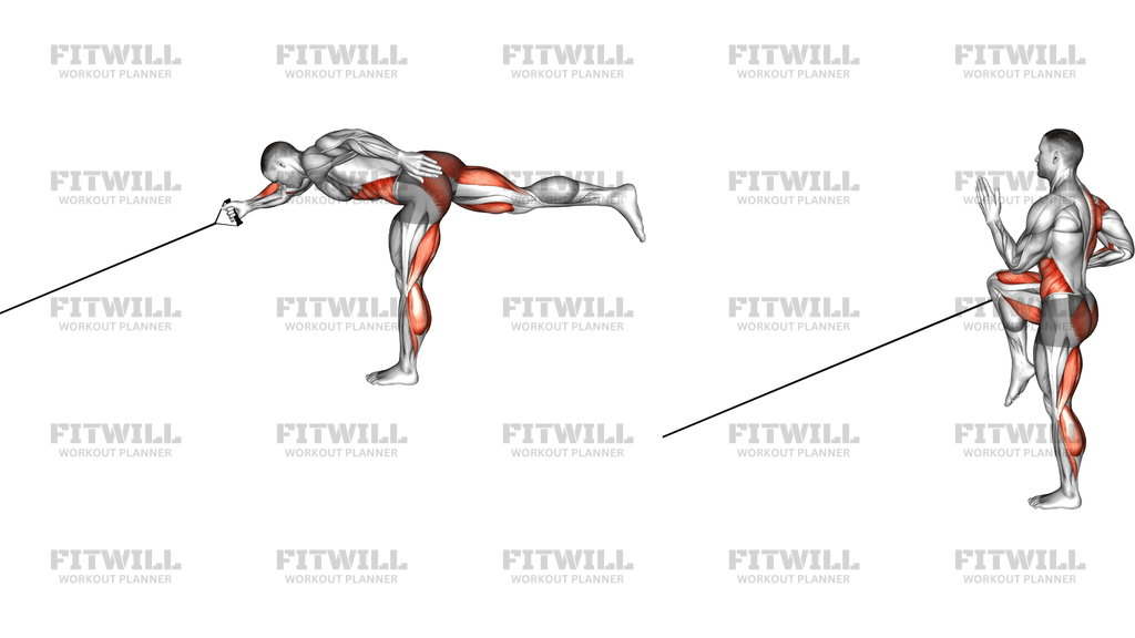 Band Single Stiff Leg Deadlift With Single-Arm Row