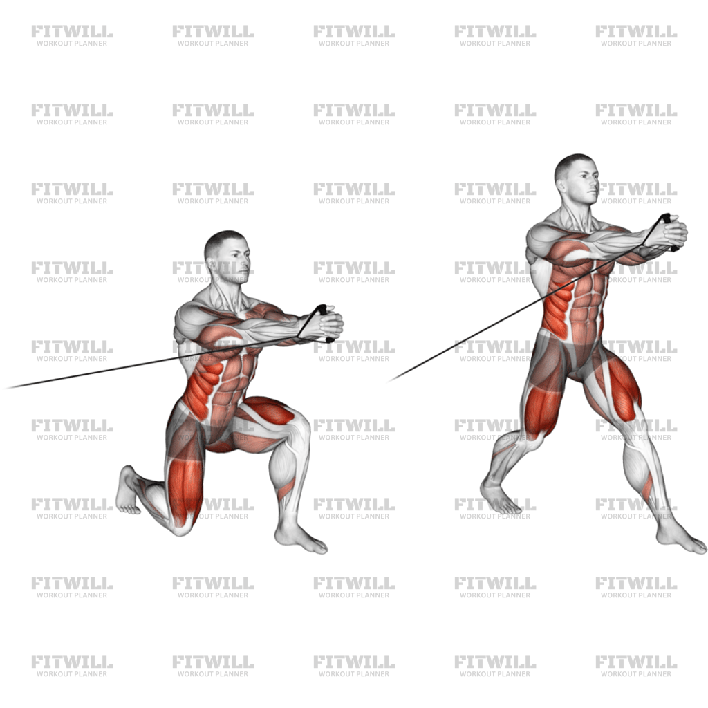 Band Split Squat With Horizontal Pallof Hold: Exercise Guide ...