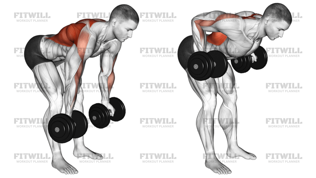 Dumbbell Bent-Over Reverse Row