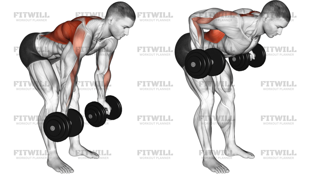 Dumbbell Bent-Over Reverse Row