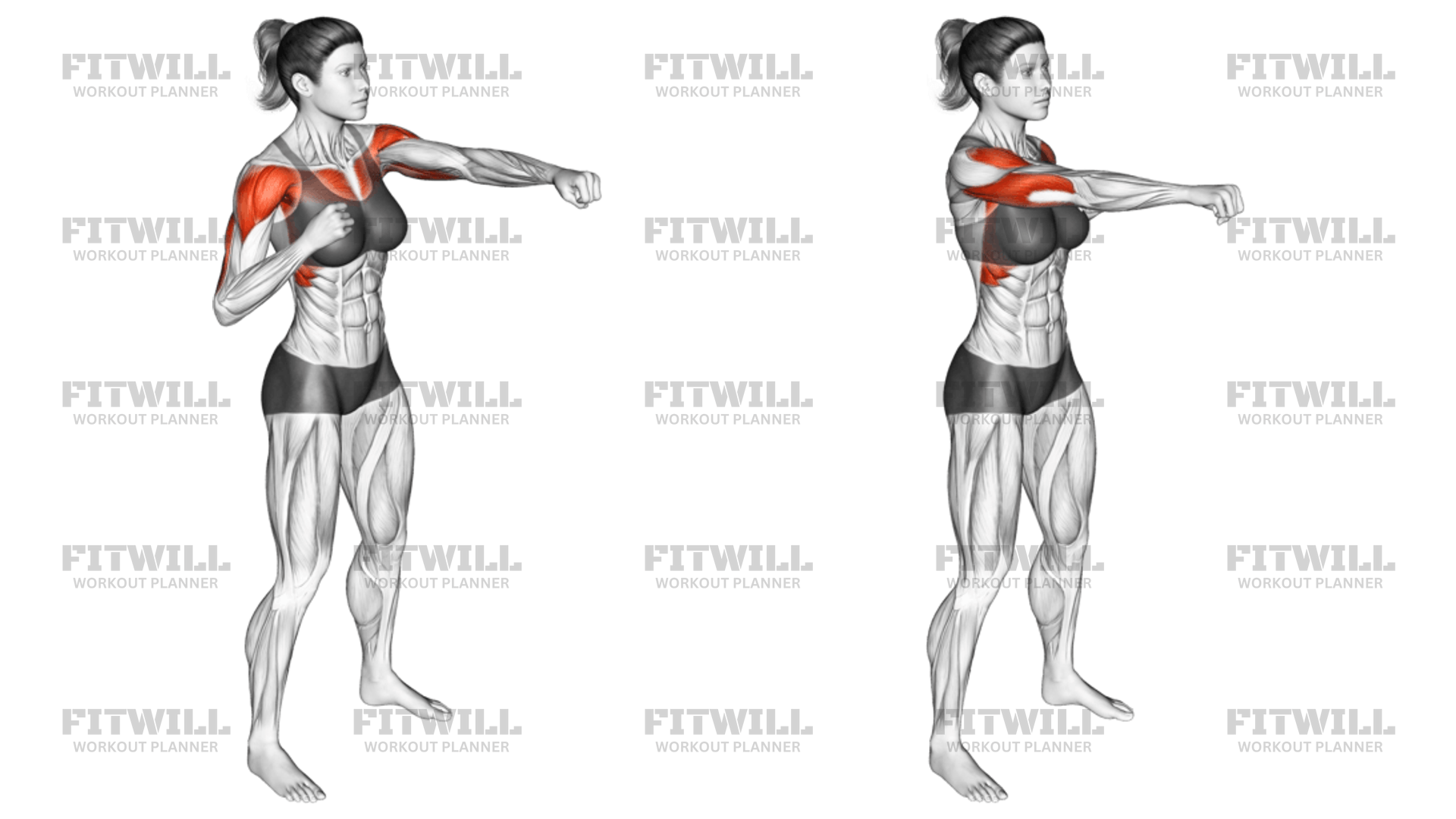 Alternate Punching Guide, Techniques, Benefits, How to, Muscles Worked