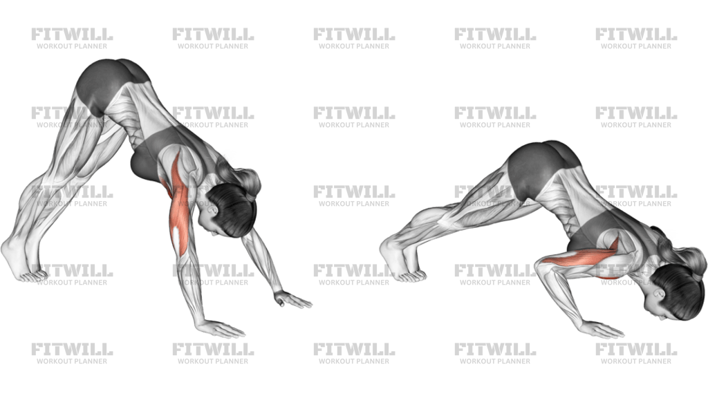 Pike Push-Up