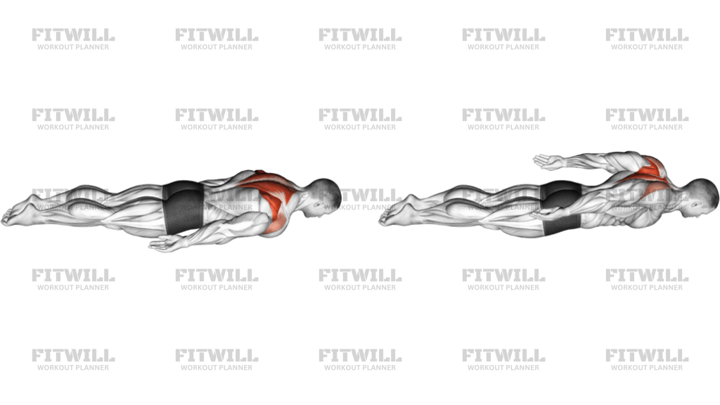 Bodyweight Lying Pulse Row