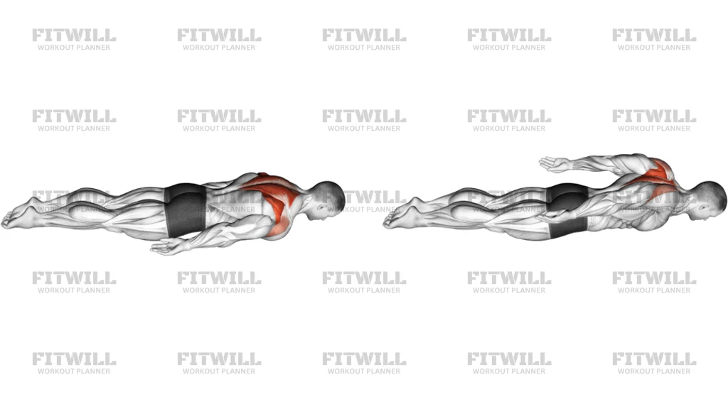 Bodyweight Lying Pulse Row