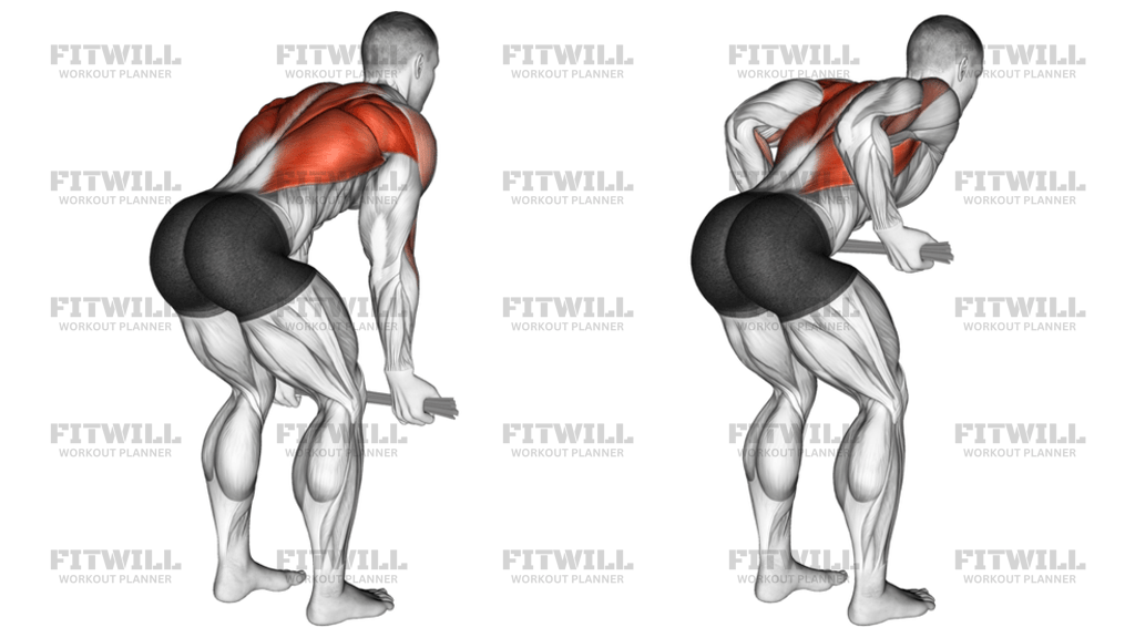 Bent-Over Row With Towel