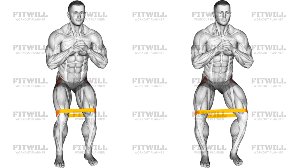 Resistance Band Standing Hip Abduction