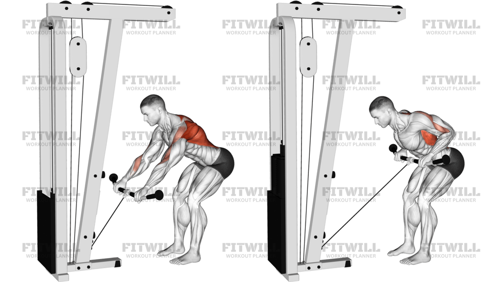 Cable Bent-Over Row