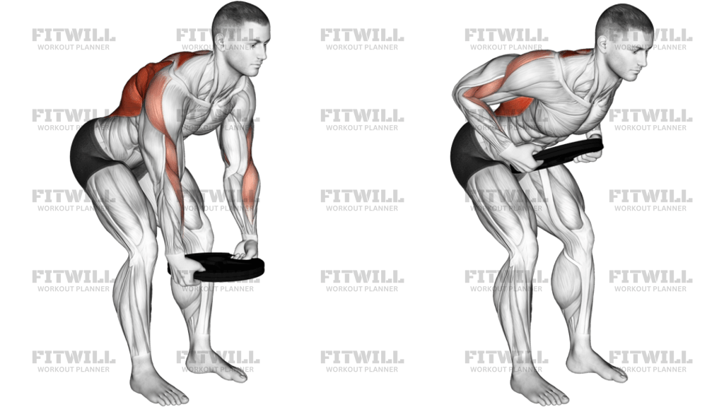 Weighted Plate Bent-Over Row