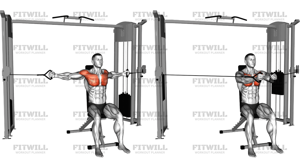 Cable Seated Chest Fly