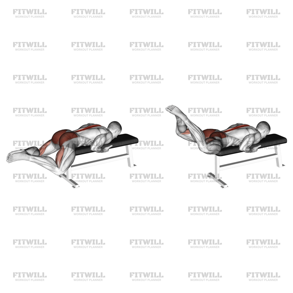 Bench reverse hyperextension hotsell