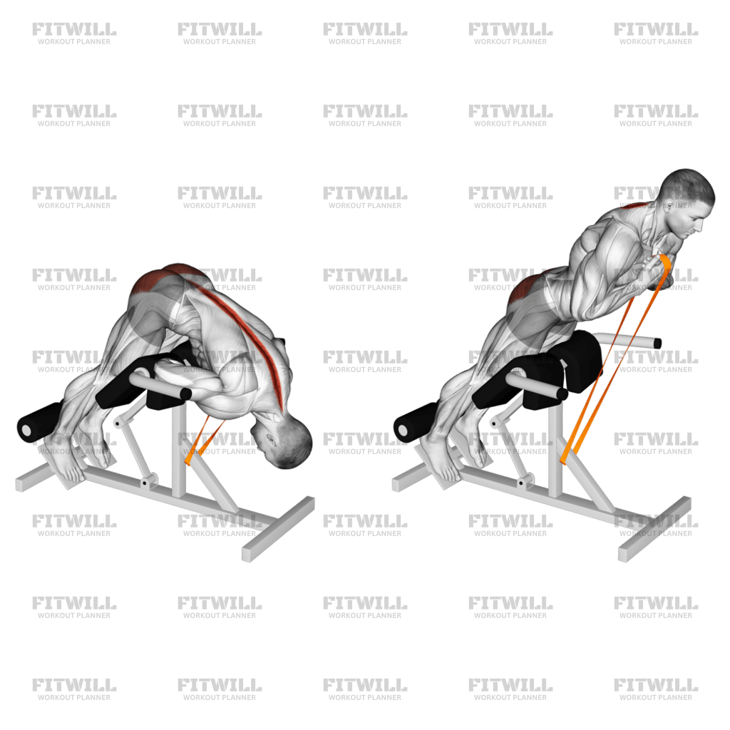Roman Chair Resistance Band 45 Degrees Hyperextension Exercise Guide Techniques Benefits How to Muscles Worked Tips Tricks Fitwill