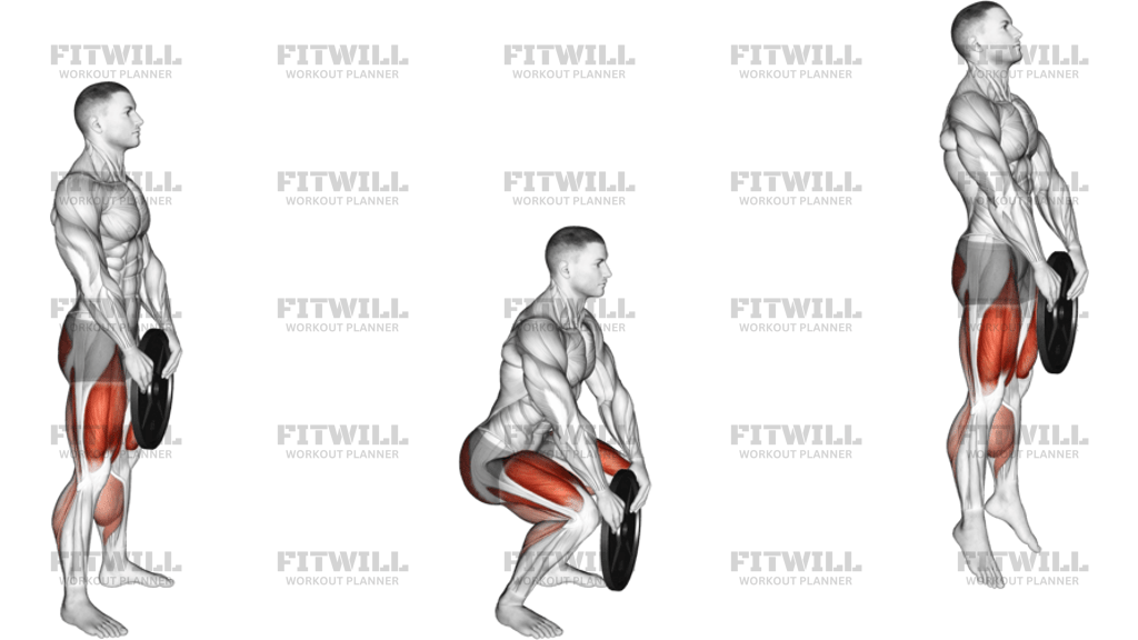 Weighted Squat Jump With Plate