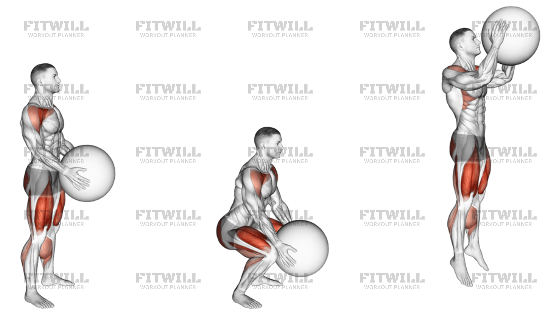 Medicine Ball Squat Jump Exercise Guide Techniques Benefits How to Muscles Worked Tips Tricks Fitwill